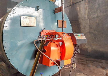 3 million kcal gas fired thermal oil heater