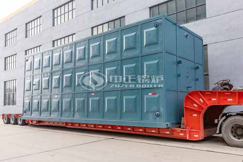 15tph SZS Biogas-Fired Boiler In Food Industry