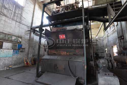 15tph DZL Biomass-Fired Boiler For Textile Industry
