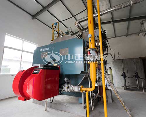 6 Ton WNS Fire Tube Gas Boiler