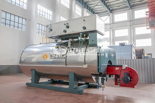 2 Ton Condensing LPG Gas Boiler for Food Factory