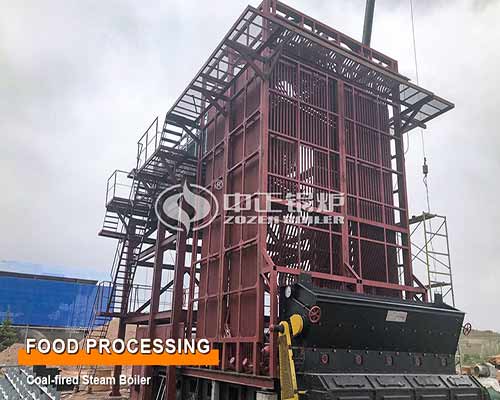 35 tph SZL Coal Steam Boiler Hot Sale