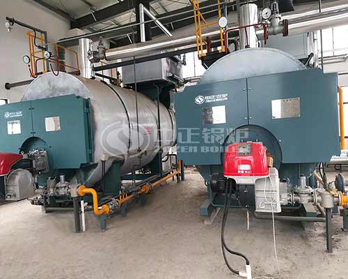 4.2MW WNS Oil Gas Fired Hot Water Boiler