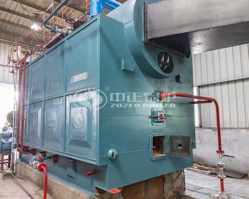6 Ton Biomass Wood Chips Fired Steam Boiler for Rice Mill