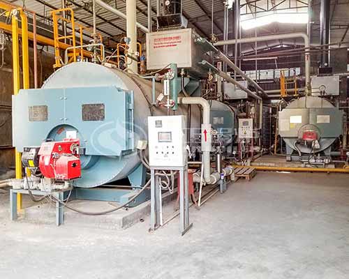2 tph WNS Gas Steam Boiler For Textile Industry