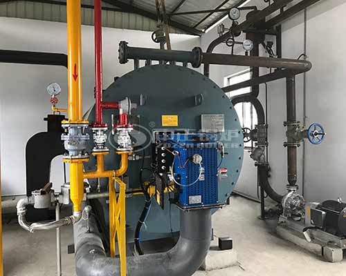 Horizontal Gas Thermal Oil Boiler in Medical Industry