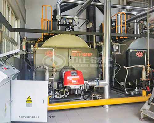 Biomass Fired Boiler 2mw Sale