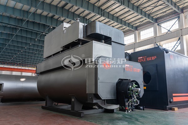 Biomass Fired Boiler 2mw Sale