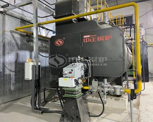 3000kg gas steam boiler site