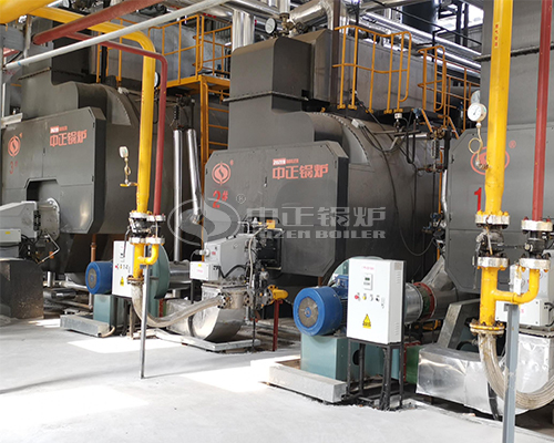 Steam Boiler Price