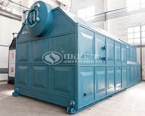 12 Ton Biomass Steam Boiler