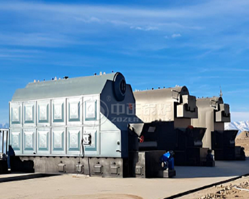 ZOZEN 4 Tph and 4.2MW Reciproating Grate Coal Boilers for Poultry Farm