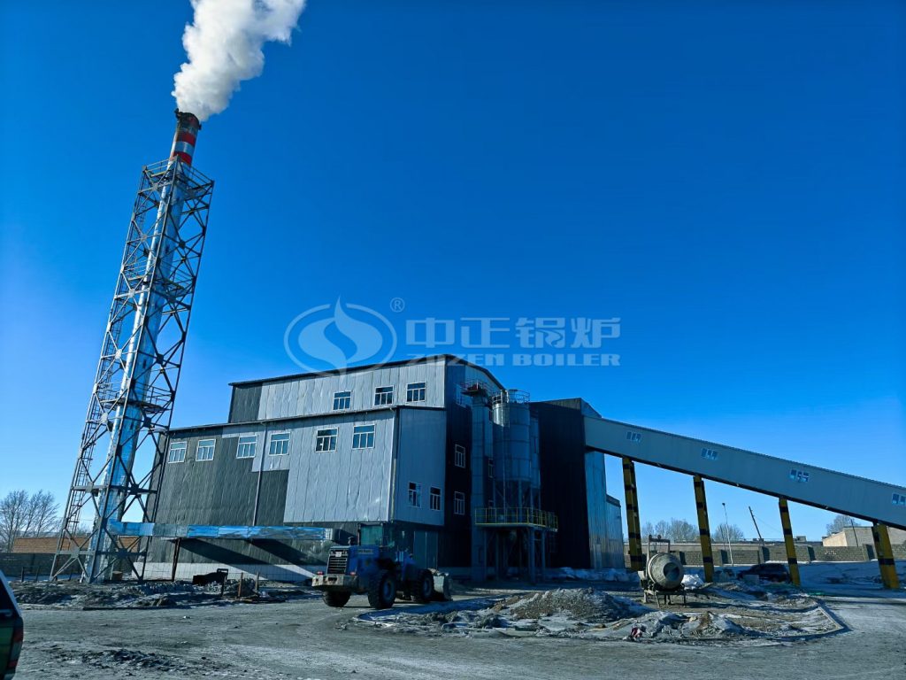 Circulating Fluidized Bed Combustion Boiler