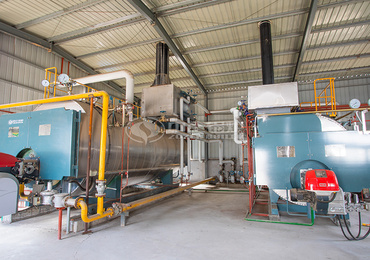 DZL series coal-fired hot water boiler