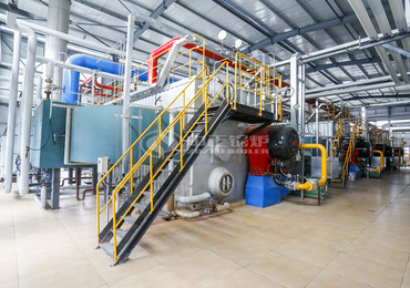 10 tph WNS series gas-fired fire tube boiler project for chemical industry