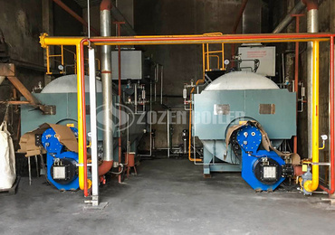 DHL series coal-fired steam boiler