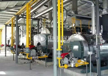 20 tph SZL series biomass fired boiler project for rubber industry