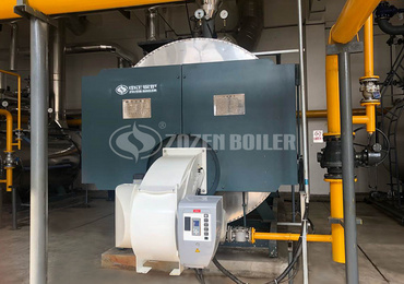 10 Ton Solid Fuel Biomass Fired Steam Boiler for Fertilizer Plant