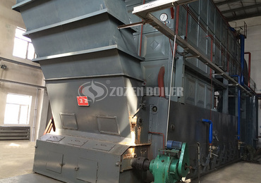 6 Ton Biomass Wood Chips Fired Steam Boiler for Rice Mill