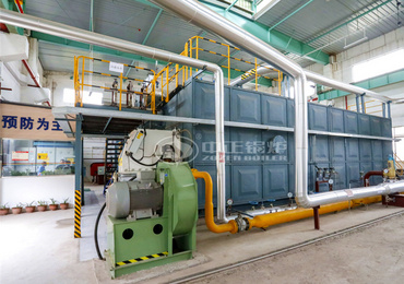 5MW rice husk biomass power plant boiler in Vietnam