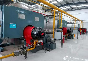 ZOZEN gas-fired boilers provide high-quality and efficient steam for fruit and vegetable juice production lines