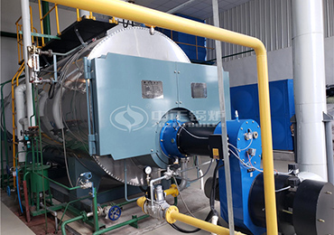 6ton Wns Condensing Gas Fired Steam Boiler