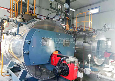 Hot Water Boiler 14mw Capacity