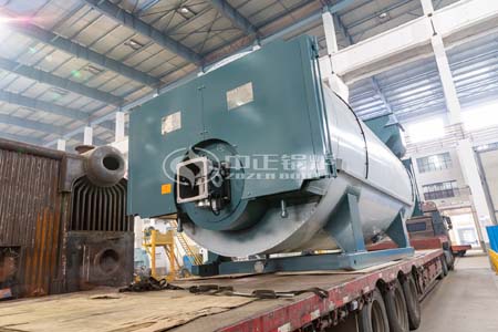 WNS Condensing Steam Boiler Introduction