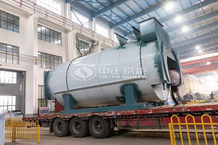 WNS Steam Boiler With High Efficiency