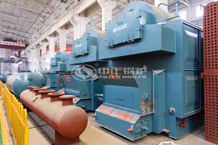 4tph DZL Chain Grate Steam Boiler In Indonesia