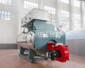 WNS Series Steam Boilers For Sale
