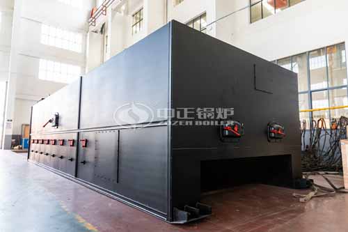 15tph DZW Biomass-Fired Steam Boiler In Sri Lanka