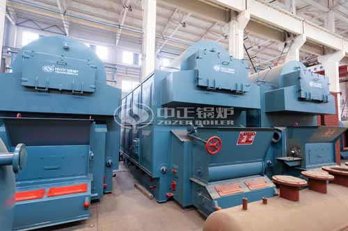 4tph DZL Biomass Fired Fire Tube Boiler In Malaysia