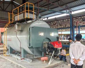 LPG Fired Steam Boiler For Rice Mill