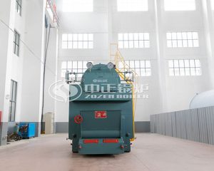 Biomass Pellet Steam Boiler Supplier