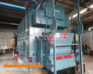 4 Ton Biomass Fired Steam Boiler