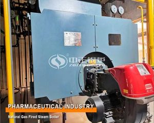 8 Ton Natural Gas Fired Steam Boiler Pharmaceuticals Industry