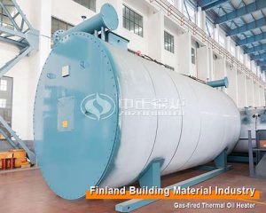 7 Million Kcal Gas Fired Thermal Oil Heater