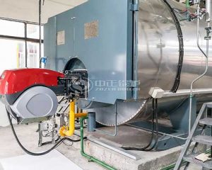 4 Ton Natural Gas Fired Steam Boiler