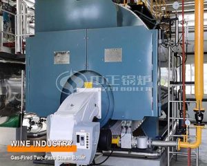 12 Ton Gas Steam Boiler for Wine Industry