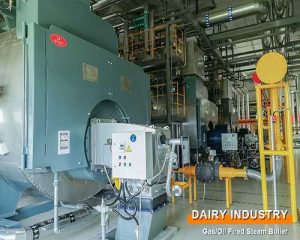 Condensing Gas Boiler Manufacturing for Sale