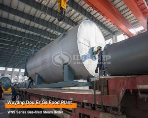 2 Ton Condensing LPG Gas Boiler for Food Factory