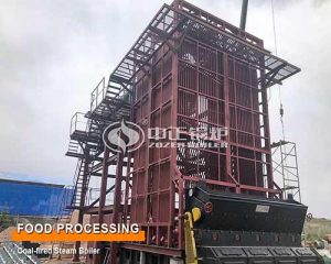 35 tph SZL Coal Steam Boiler Hot Sale