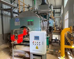 Gas Diesel Fired Steam Boiler for Sale