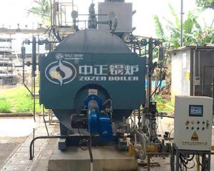 2 tph WNS Condensing Gas Steam Boiler