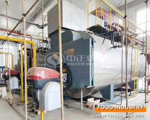 10 Ton WNS Gas Steam Boiler