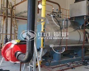 5 Ton Natural Gas Boiler Price