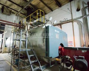 1ton/Hr to 10 Ton/Hr Gas Oil Steam Boiler for Hotel