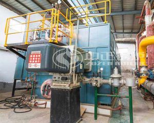 25 tph SZS Gas Steam Boiler for Printing Industry