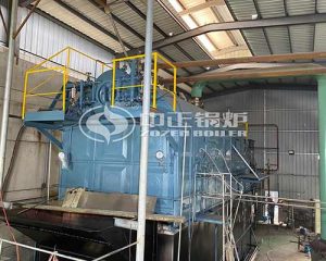 Industrial DZL Series Steam Boiler Supplier